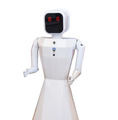 Everse AI Intelligent Humanoid – Nila Robot